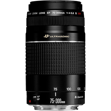 لنز دوربین کانن مدل EF 75-300mm f/4-5.6 III USM با لوازم جانبی لنز دوربین کانن مدل EF 75-300mm f/4-5.6 III USM با لوازم جانبی